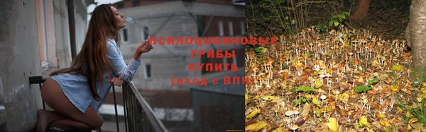 СК Михайловка