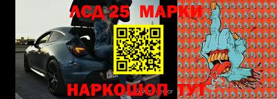 СК Кингисепп