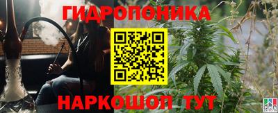 спайс Кандалакша