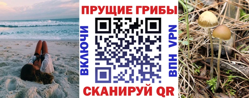 Галлюциногенные грибы прущие грибы Мытищи